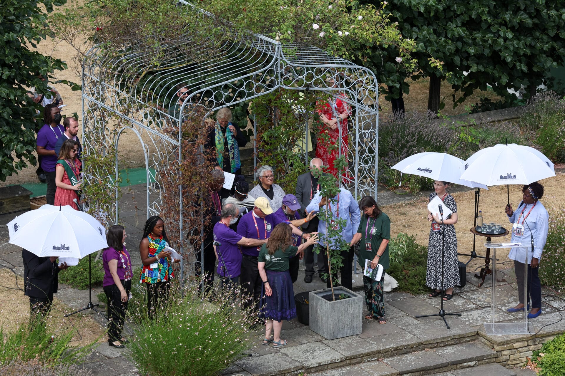 Anglicans caring for trees and ecosystems through the Communion Forest